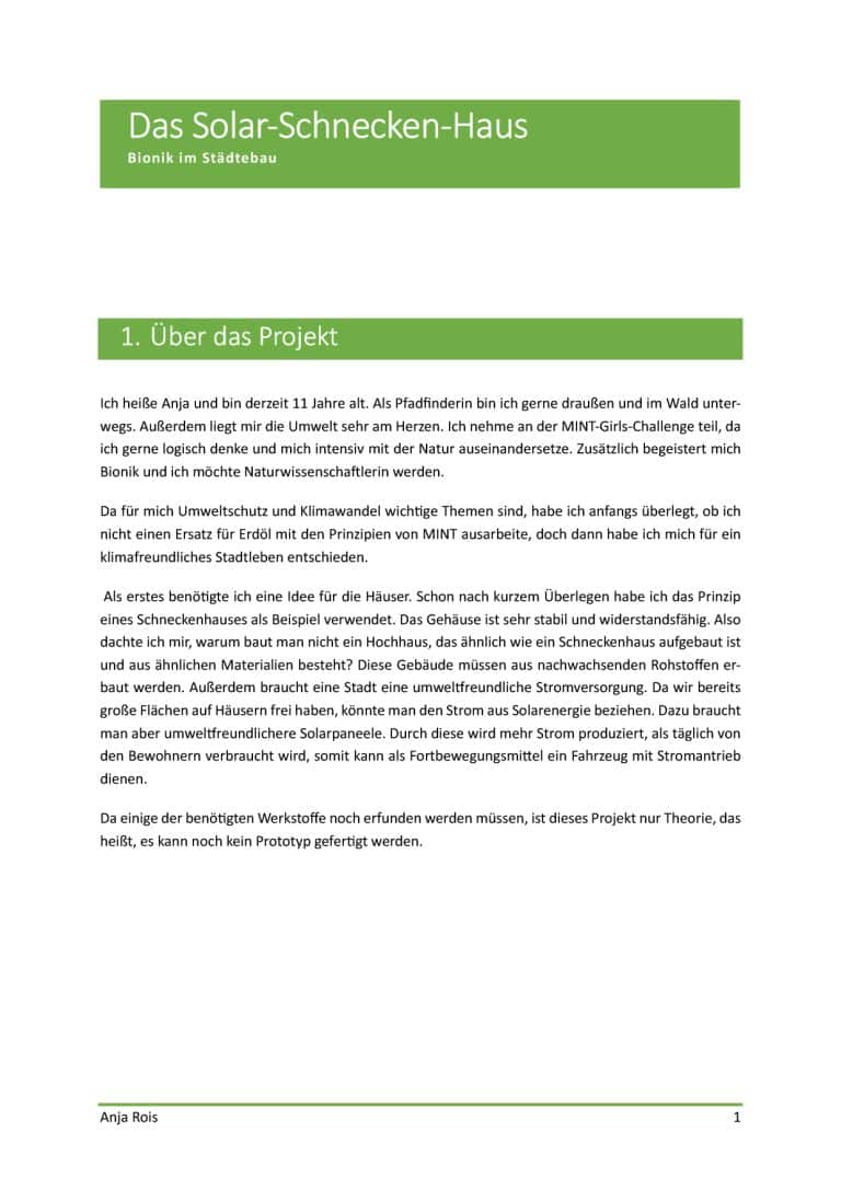 Microsoft Word - MINT-Challenge_2024