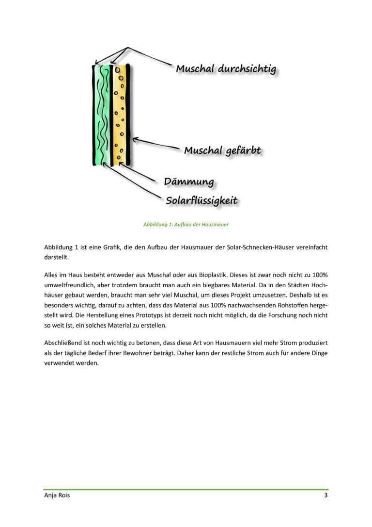 Microsoft Word - MINT-Challenge_2024