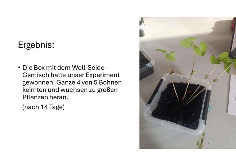 Wasseraufnahme_PPP_Seite_11