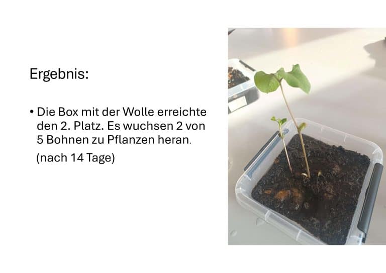 Wasseraufnahme_PPP_Seite_12