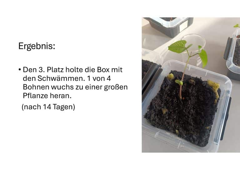 Wasseraufnahme_PPP_Seite_13